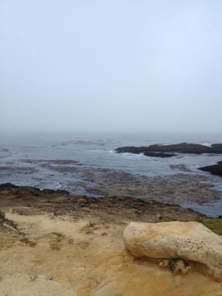 Love the Mendocino Coast