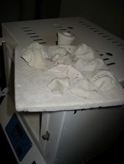 Ceramic kiln with clay pieces inside.