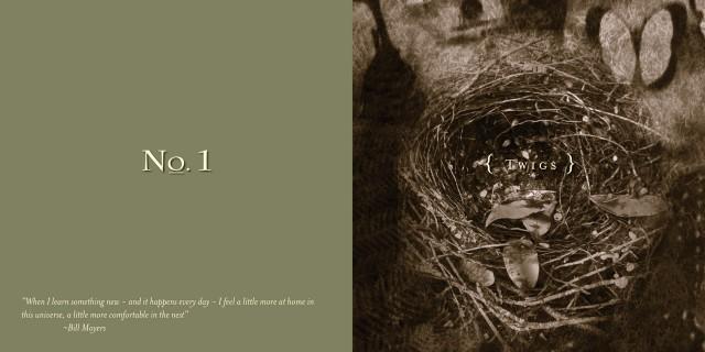Woodland Chic - Image 2