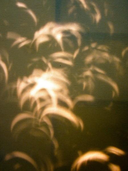 Eclipse crescent shadows on a textured surface.